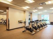 Lunen Haus 2 Bedroom Apartment for Rent at 1161 Heron...