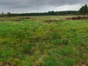 Lurgan Caltra Co Galway