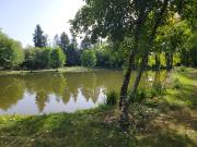 Lussac les Châteaux Vente Maison 86