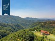 Lussuoso casale in vendita Borgo San Lorenzo, Toscana