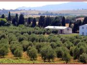 Lussuoso casale in vendita Castiglione della Pescaia, Italia