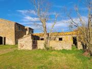 Lussuoso casale in vendita Via sp aione, 3, Scansano,...