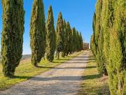 Lussuoso casale in vendita Strada Provinciale 14, 5,...