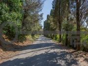 Lussuoso casale in vendita Strada Provinciale della...