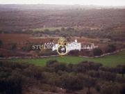 Lussuoso casale in vendita Strada Provinciale Torre di...