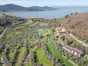 Lussuoso casale in vendita Strada Regionale 599,...