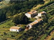 Lussuoso casale in vendita Via Borgo di Mezzo in Loc...