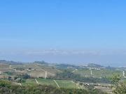 Lussuoso casale in vendita Via Cappelletto, Treiso, Piemonte