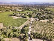 Lussuoso casale in vendita Via Chidonza, Olbia, Sassari,...