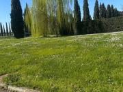 Lussuoso casale in vendita Via Dell'Olmo, 1, Campi...