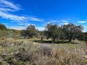 Lussuoso casale in vendita via principale 1, Noto, Sicilia