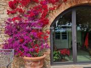 Lussuoso casale in vendita Via Sorripa, San Casciano in...