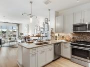 Luxe at Alewife 1 Bedroom Apartment for Rent at 80...