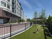 Luxe at Alewife Studio Apartment for Rent at 80...