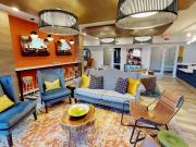 Luxe Belle | Student Housing