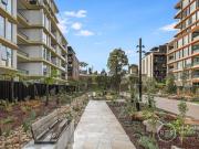 Luxe & Sun Filled 1 Bedroom Apartment in...