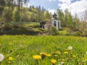 Luxuriös wohnen mit Wellnessbereich und Pool in Elsbethen