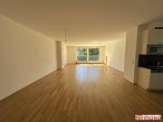 Luxuriöse 4 Zimmer Wohnung mit Balkon in 1190 Wien – Ihr...