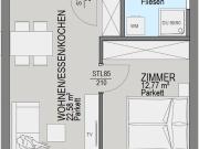 Luxuriöse Wohnung mit Balkon in Graz Waltendorf