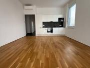 Luxuriöses 4 Zimmer Penthouse zu vermieten Graz, Steiermark