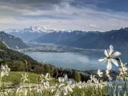 Luxuriöses Duplex zu verkaufen in Territet, Schweiz