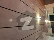 Luxurious 240 sqr. Yds ground + one house for sale in...