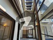 Luxurious 500 sq yards bungalow for rent in phase 6 dha...