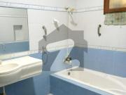 Luxurious 500 yard bungalow for rent in dha phase 6
