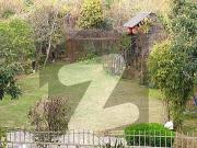 Luxurious 5 Bedroom House For Rent In F 8 Islamabad 555...