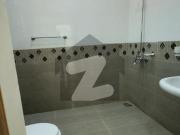 Luxurious 5 Marla Corner House For Rent in Prime Sector...