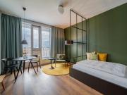 luxurious apartment in central new building