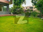 Luxurious Brand New House With Extra Land