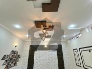 Luxurious Decent Spacious House for Sale Ideal Location...