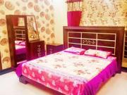 Luxurious dream furnished 1kanal house for rent in...