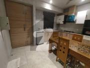 Luxurious Furnished Flat