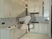 Luxurious living project apartment for families