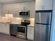 Luxurious new 1 BR Apartment avail for rent at downtown...