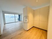 LUXURIOUS NEW CONSTRUCTION DIRECTLY ON THE LAKE