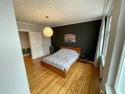 Luxuriously furnished apartment at Mauerpark, Prenzlauer...