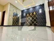 Luxury 1 Kanal Lower Portion For Rent