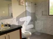 Luxury 500 Yard Bungalow for Rent in Clifton Block 5