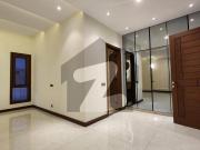Luxury 500Yard Banglow For Rent in DHA Phase 8