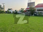 Luxury And Fully Furnished 03 Kanal Farm House Bedian Road