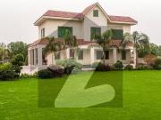Luxury And Fully Furnished 5 Kanal Farm House Main Barki...