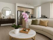 Luxury apartment complex for rent in Miami, Florida