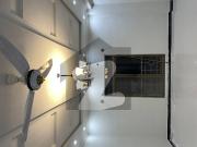 Luxury Apartment For Rent