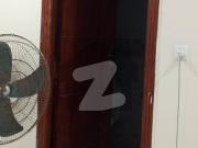 Luxury Brand New Apartment 2 Bed For Rent