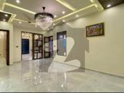 Luxury Brand New Lower Portion Available For Rent