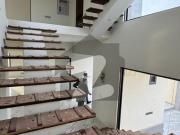 Brand New Luxury 500 Yards Bungalow For Rent DHA Phase 8...