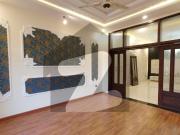 Luxury Designer Brand New House For Sale In Sector C 1 5...